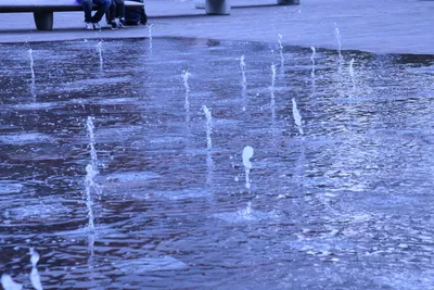 DSC_1608 (Large).JPG